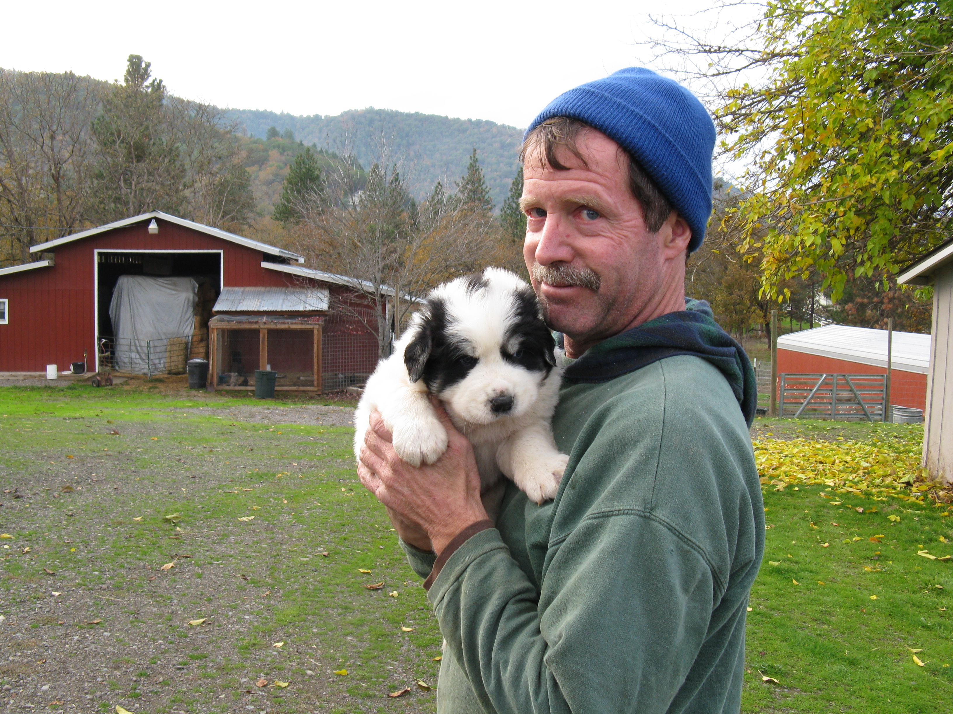 jerpupnov09.jpg