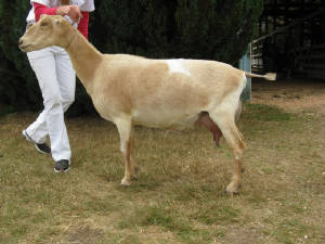 aiyana72712web.jpg