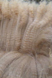 shamrocfiber2011.jpg