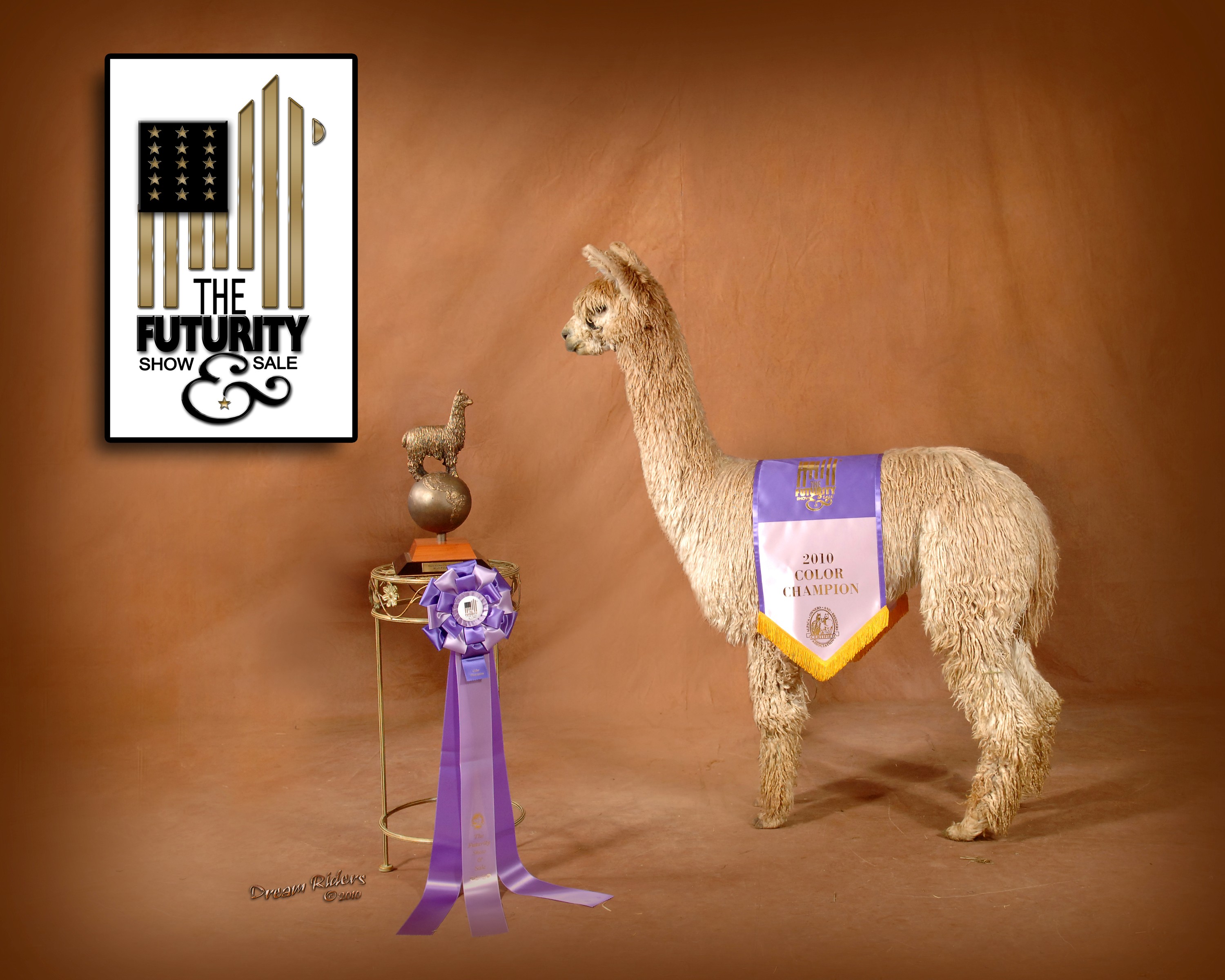 maximumtrophy.jpg