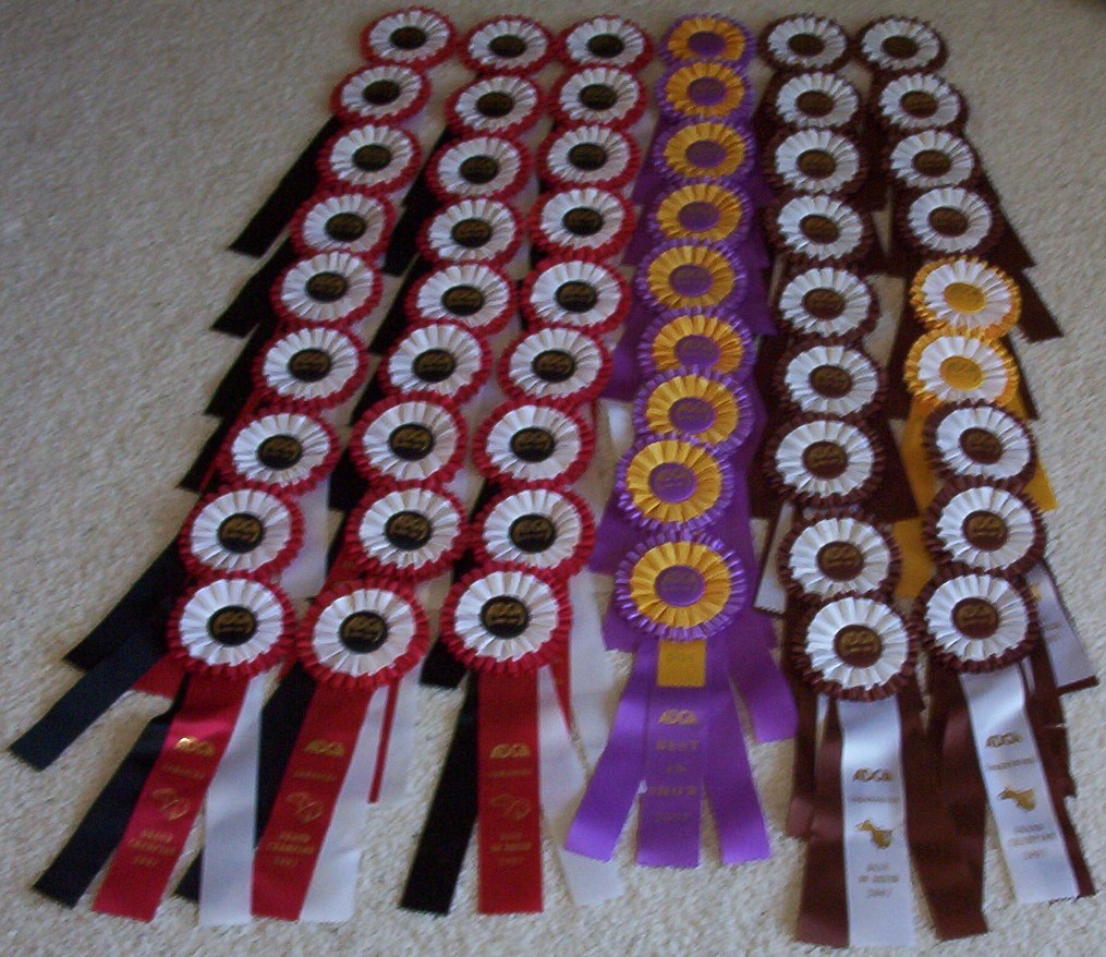 ribbonsgchbobbdis07.jpg